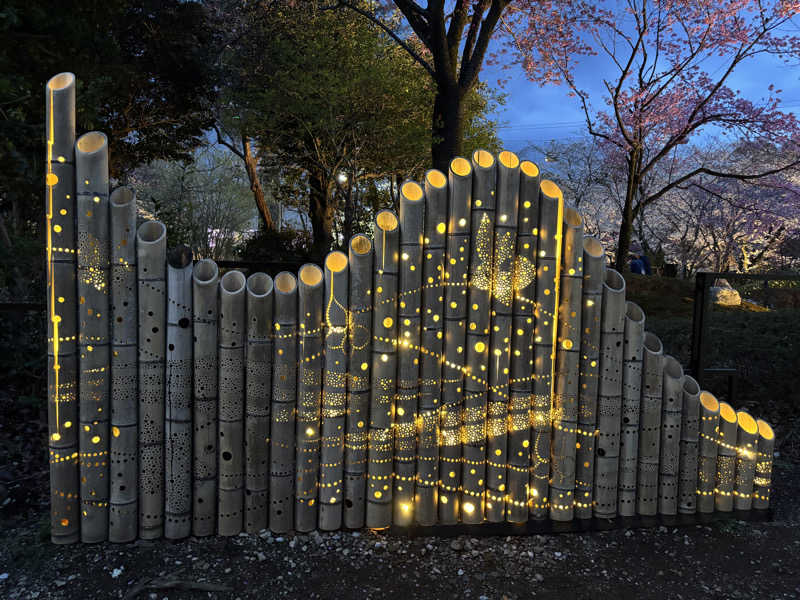 縞りんごさんのよみうりランド眺望温泉 花景の湯のサ活写真