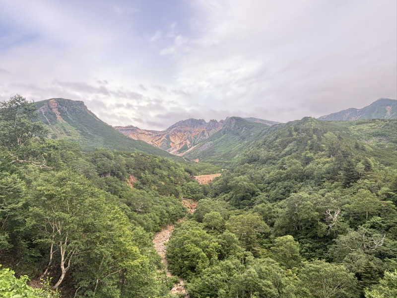 縞りんごさんの十勝岳温泉 凌雲閣のサ活写真