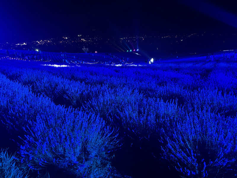 縞りんごさんの十勝岳温泉 凌雲閣のサ活写真