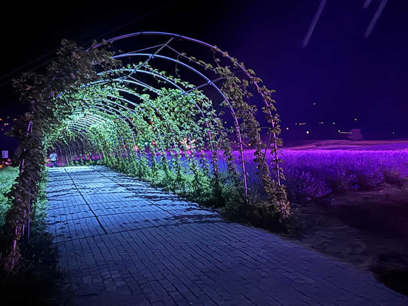 縞りんごさんの十勝岳温泉 凌雲閣のサ活写真