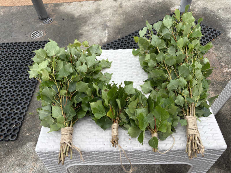 縞りんごさんのGKSサウナビレッジのサ活写真