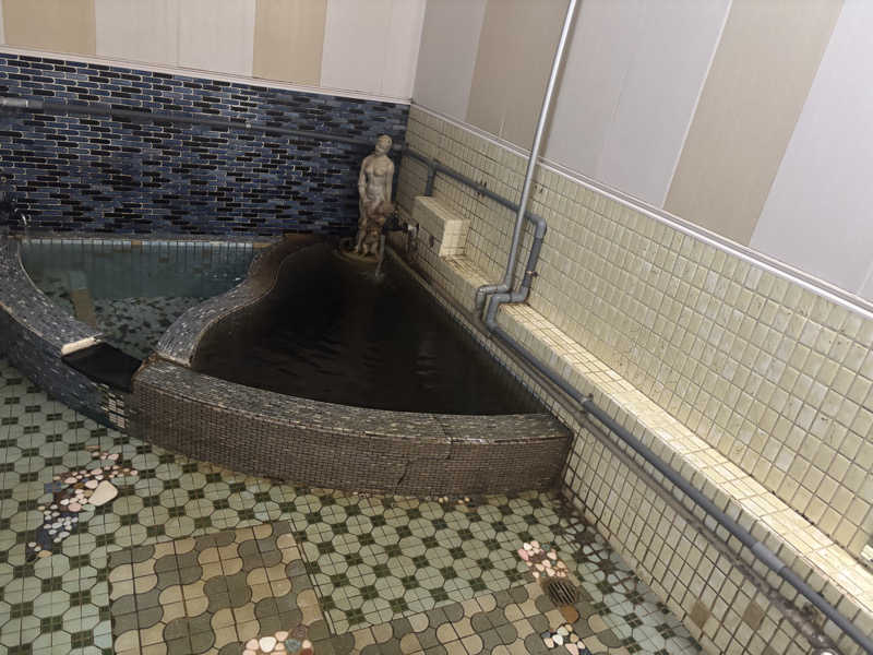 縞りんごさんのローマの泉のサ活写真