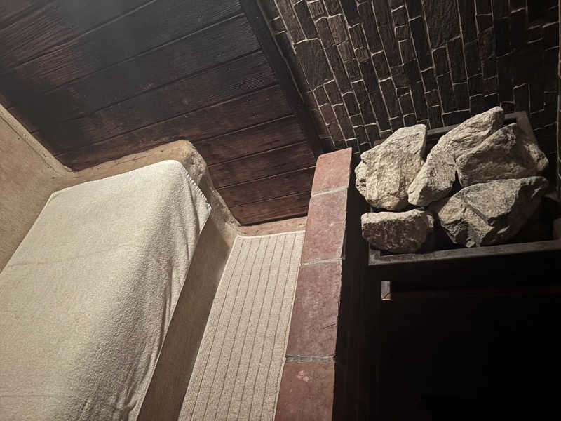 縞りんごさんのローマの泉のサ活写真