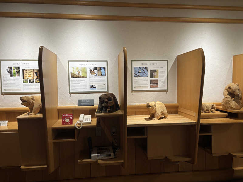 縞りんごさんの森のスパリゾート 北海道ホテルのサ活写真