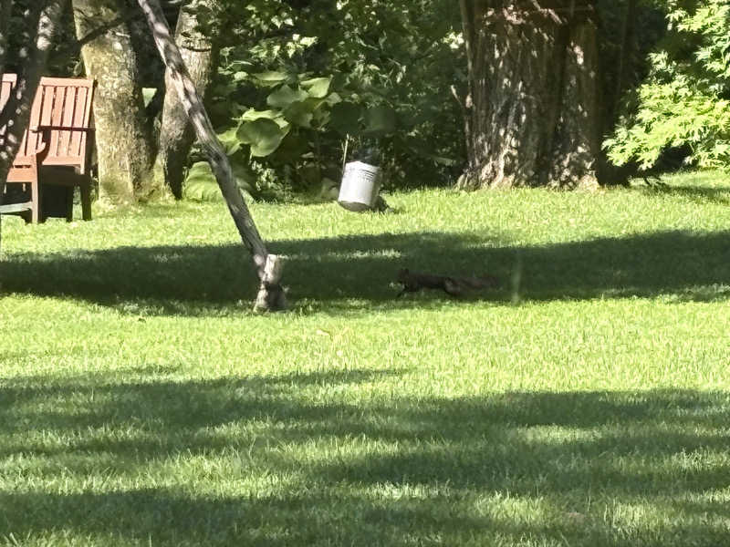 縞りんごさんの森のスパリゾート 北海道ホテルのサ活写真