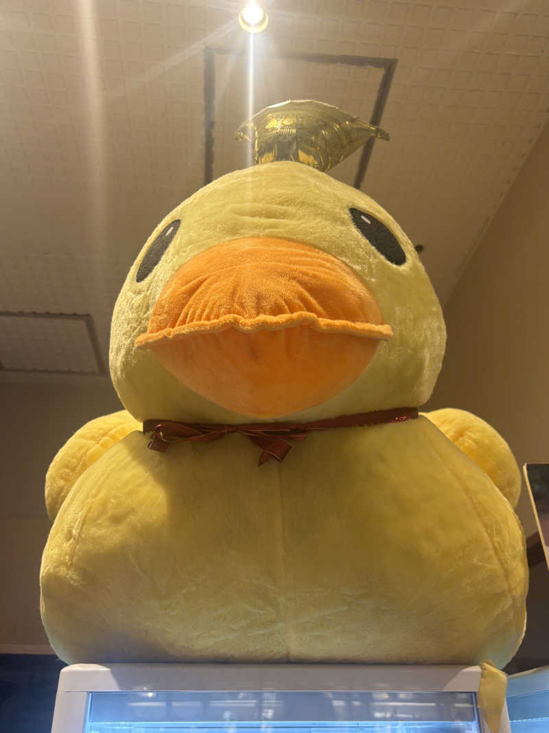 縞りんごさんの天然温泉 平和島のサ活写真