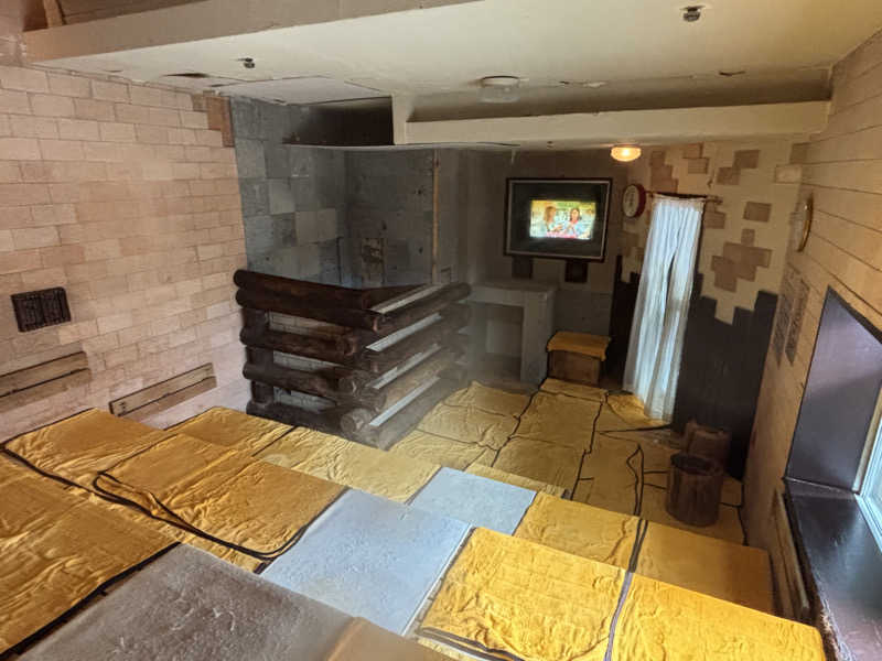 縞りんごさんの湯乃泉 東名厚木健康センターのサ活写真