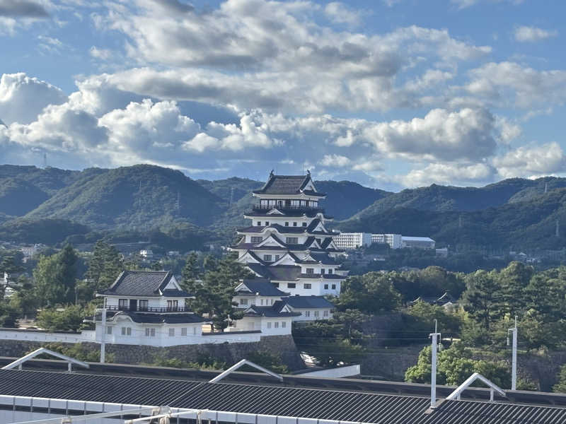 縞りんごさんのカプセル&サウナ日本のサ活写真