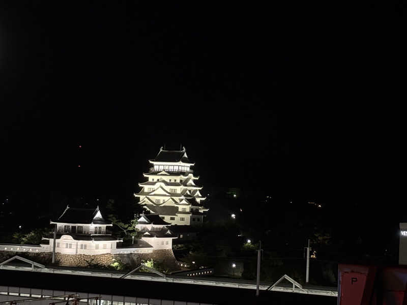 縞りんごさんのカプセル&サウナ日本のサ活写真