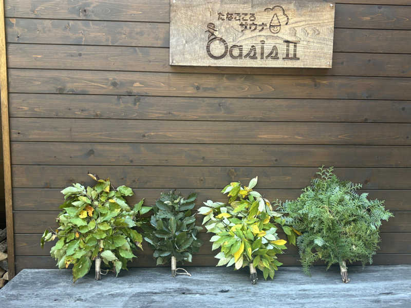 縞りんごさんのたなごころサウナ Oasis & OasisⅡのサ活写真