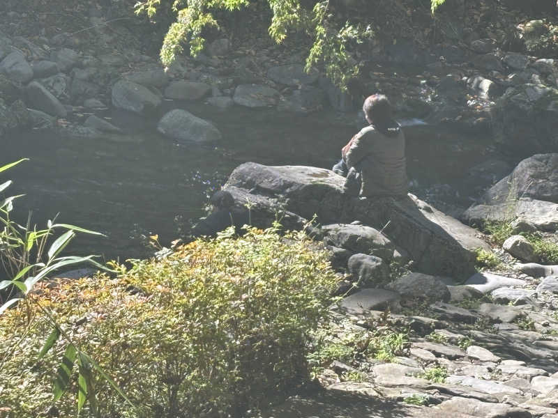 縞りんごさんのたなごころサウナ Oasis & OasisⅡのサ活写真