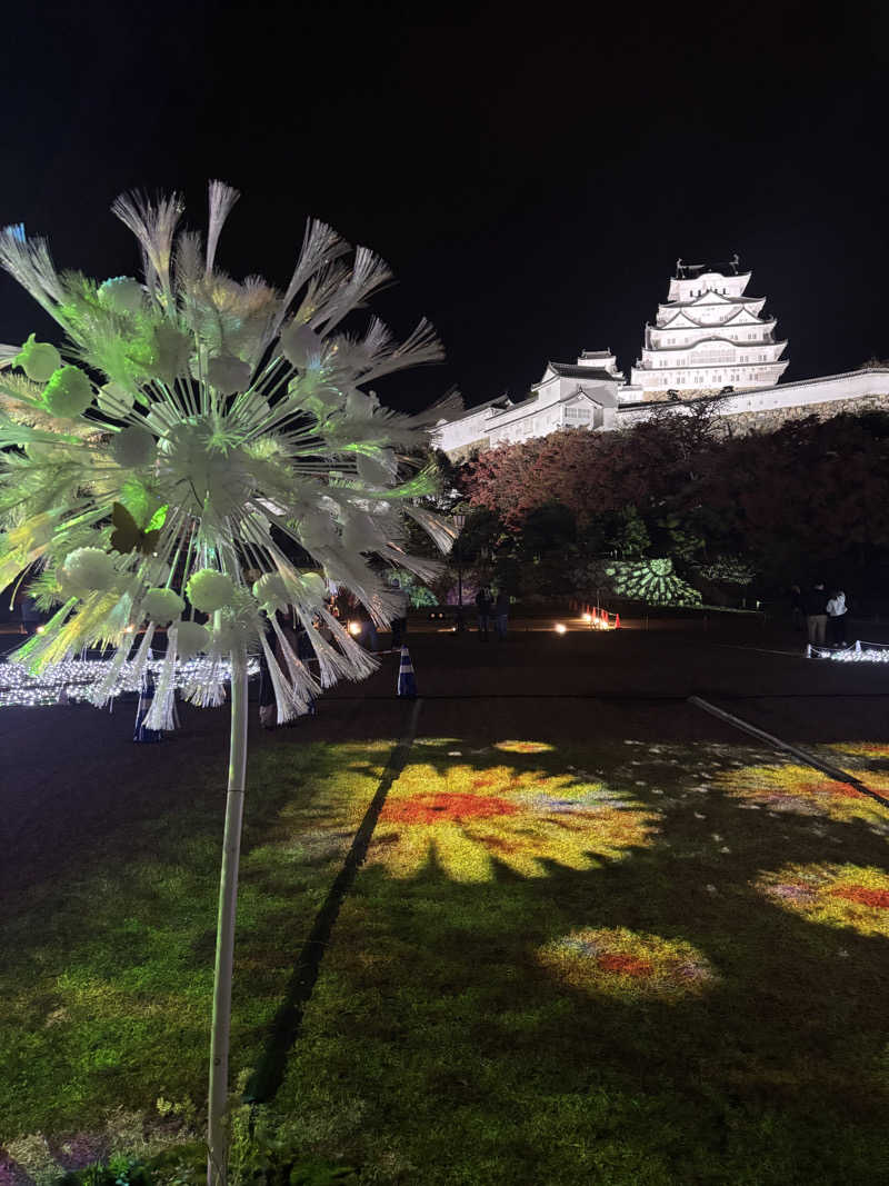 縞りんごさんの姫路駅前ユニバーサルホテル南口のサ活写真