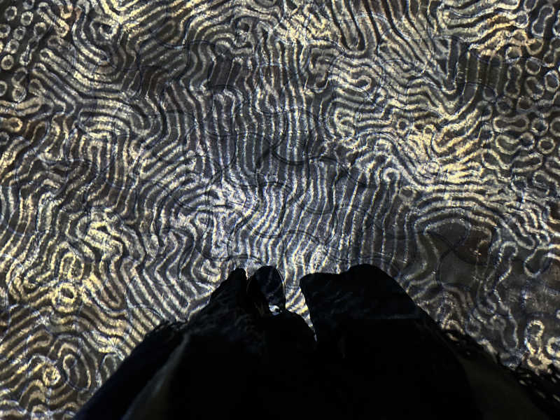 骨盤。𓈒𓏸さんの御船山楽園ホテル  らかんの湯のサ活写真