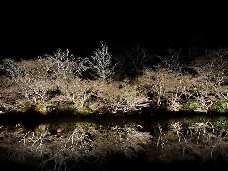 ぴっころさんさんの御船山楽園ホテル  らかんの湯のサ活写真