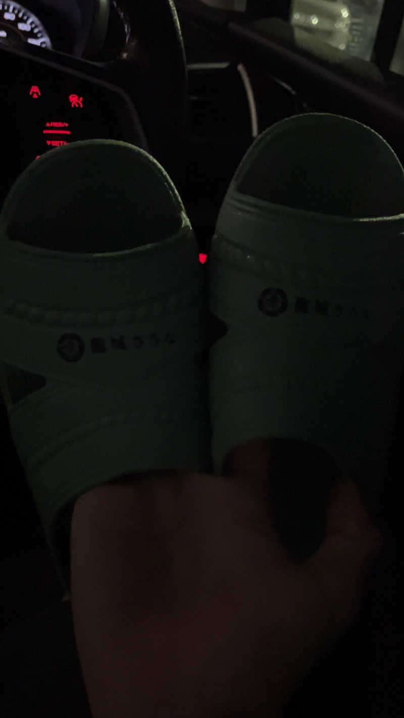 ぴっころさんさんのSOLA SPA 浜北温泉のサ活写真