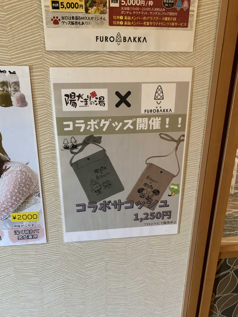 智也さんの陽だまりの湯のサ活写真