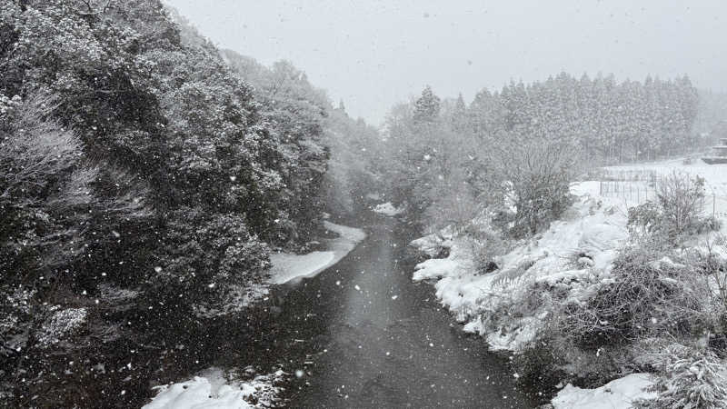 ねこまじんさんのDOGA SAUNAのサ活写真