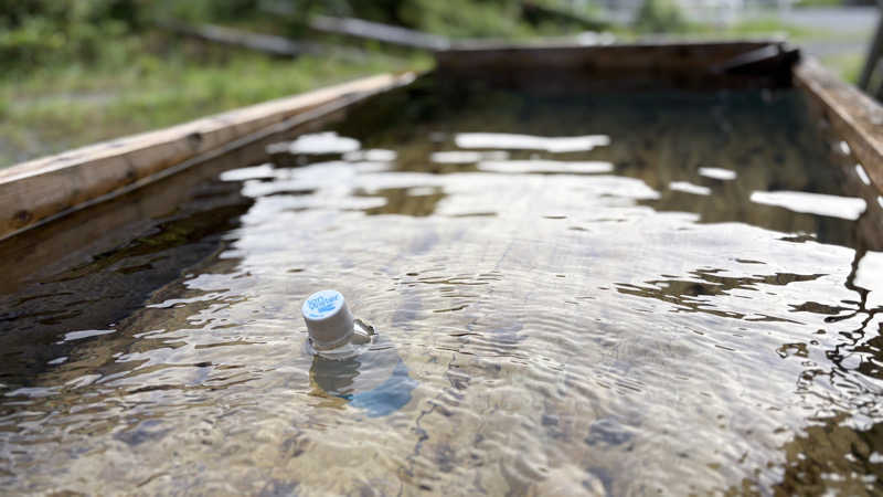 ねこまじんさんのパブリックハウス アンド サウナ 久米屋のサ活写真