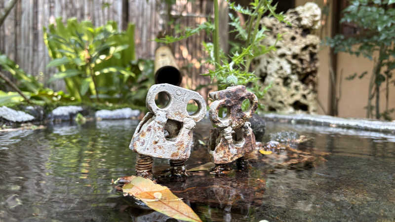 ねこまじんさんのゆかいだ温泉  つれづれの湯のサ活写真