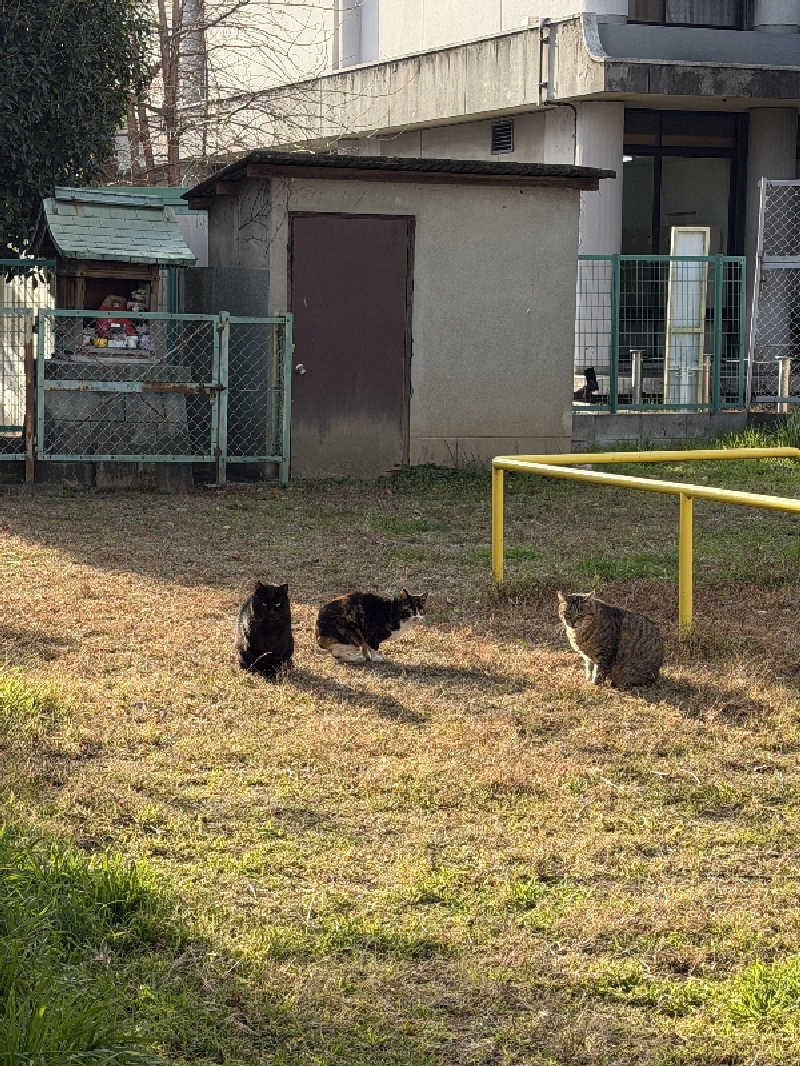 トン・トントゥさんのほんものさうなのサ活写真