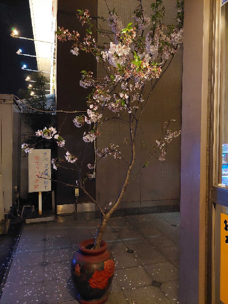 はごろもさんの瀬戸大橋四国健康村のサ活写真