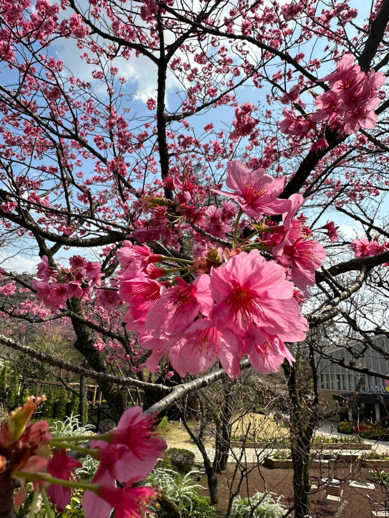 kosu🎏🎏さんのよみうりランド眺望温泉 花景の湯のサ活写真