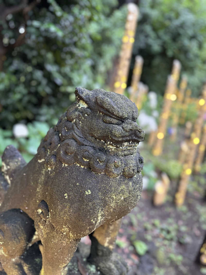 kosu🎏🎏さんのよみうりランド眺望温泉 花景の湯のサ活写真