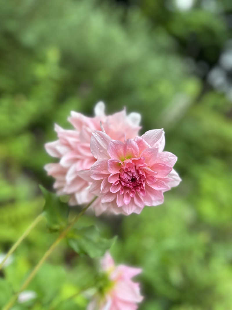 kosu🎏🎏さんのよみうりランド眺望温泉 花景の湯のサ活写真