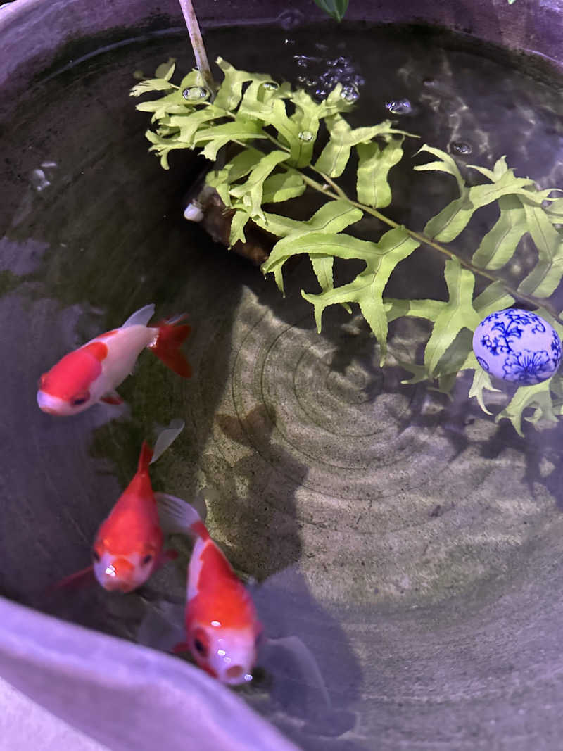 kosu🎏🎏さんのよみうりランド眺望温泉 花景の湯のサ活写真