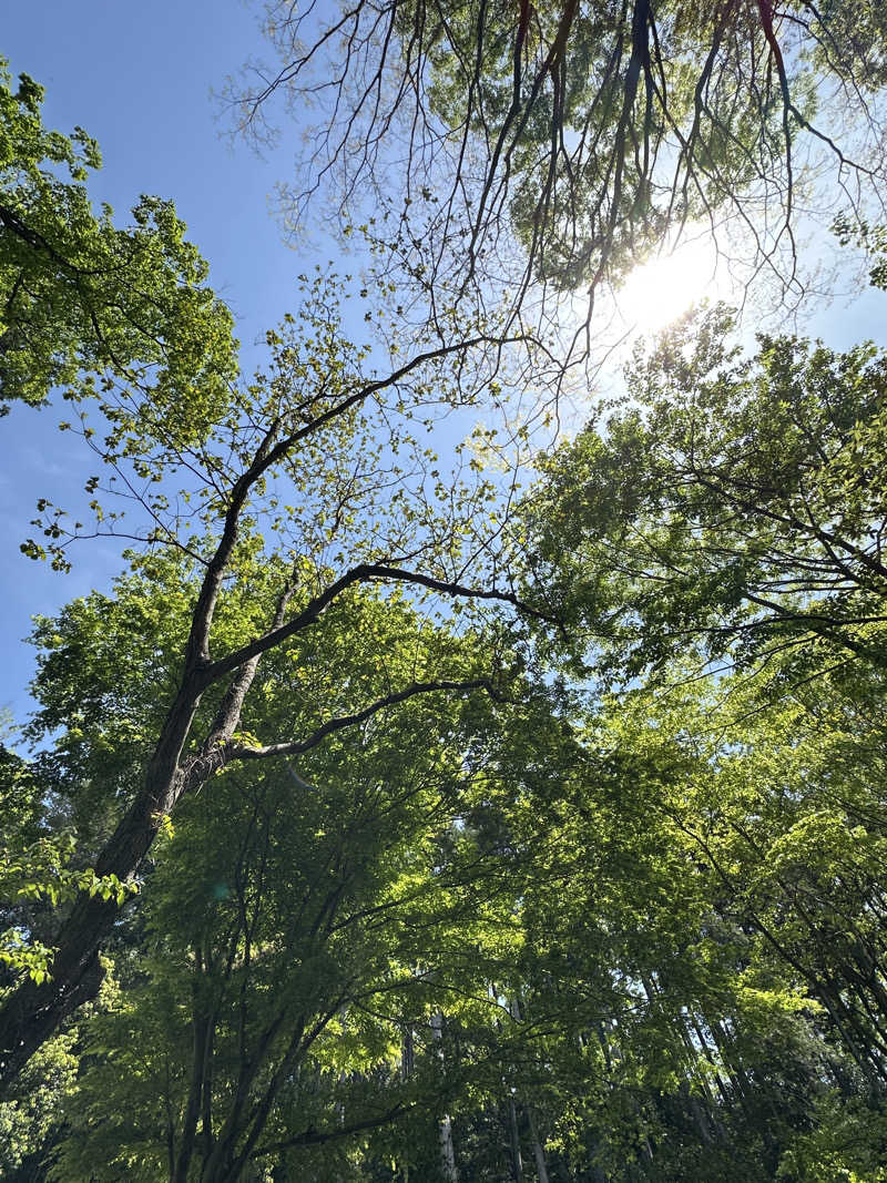 kosu🎏🎏さんの公衆アウトドアサウナ ノサウナのサ活写真