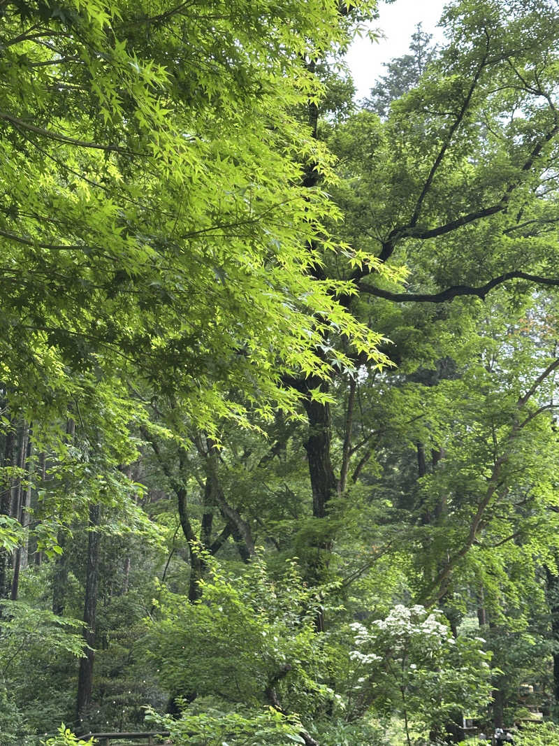 kosu🎏🎏さんの公衆アウトドアサウナ ノサウナのサ活写真