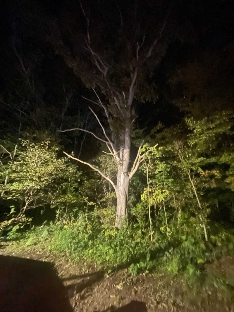 平山 和樹さんのHOTEL BOTHのサ活写真