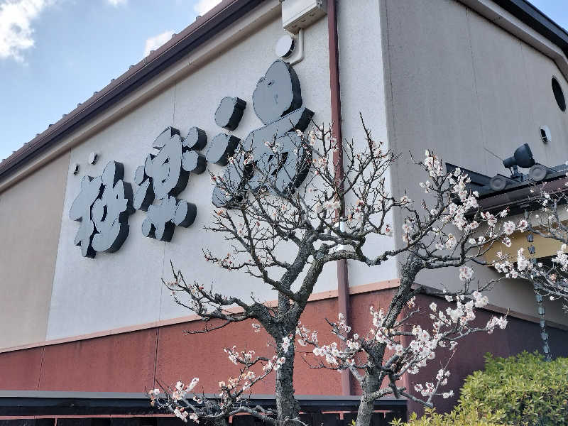 青砥要塞さんの極楽湯 富谷店のサ活写真