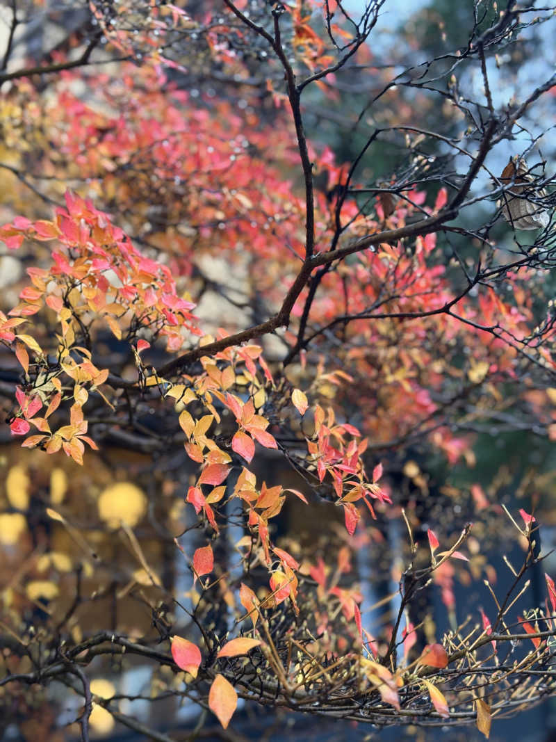 まこ3さんの満天の湯 富山店のサ活写真