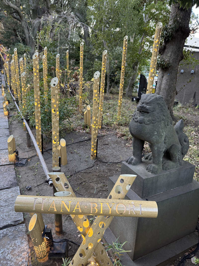 もっくんさんのよみうりランド眺望温泉 花景の湯のサ活写真