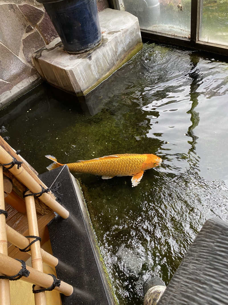 しろくんさんの花園温泉のサ活写真