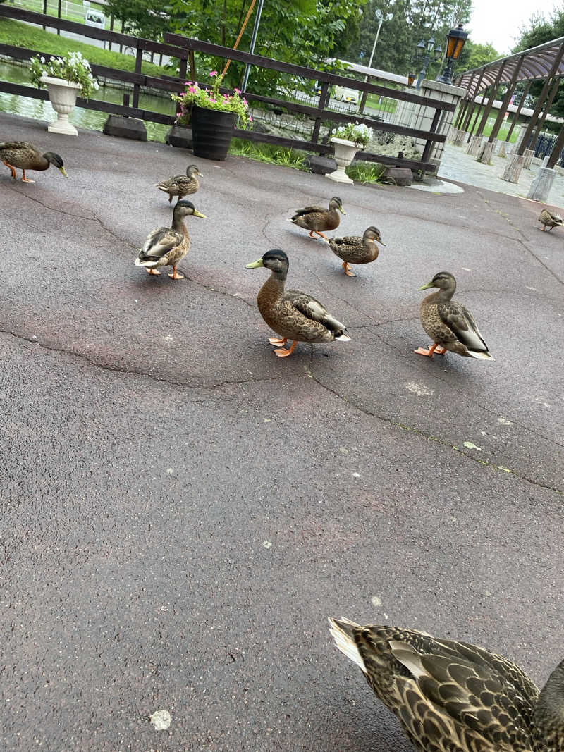 しろくんさんの札内ガーデン温泉のサ活写真