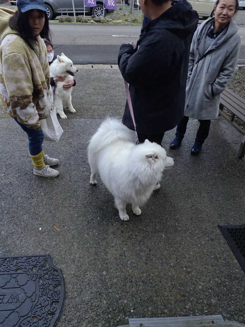 しろくんさんの和の湯のサ活写真