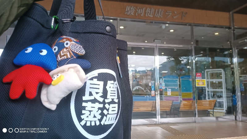 お出掛けサ活♨️べびすた🤔🥃🎯さんの駿河健康ランドのサ活写真