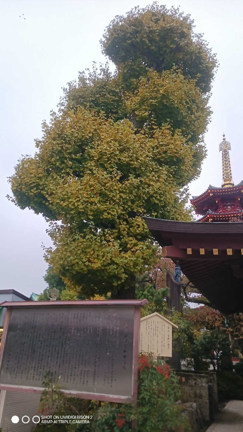 お出掛けサ活♨️べびすた🤔🥃🎯さんの日の出おふろセンター(大師サウナコース)のサ活写真