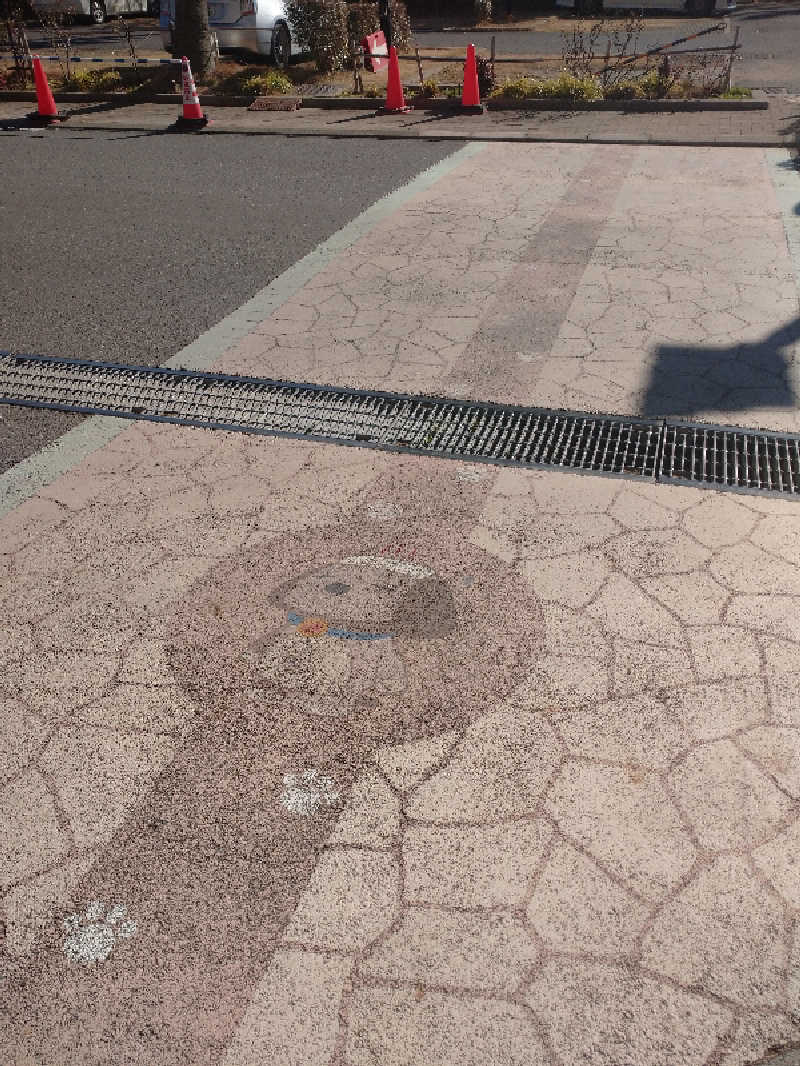 ヒロナオさんのスパ&ホテル 舞浜ユーラシアのサ活写真