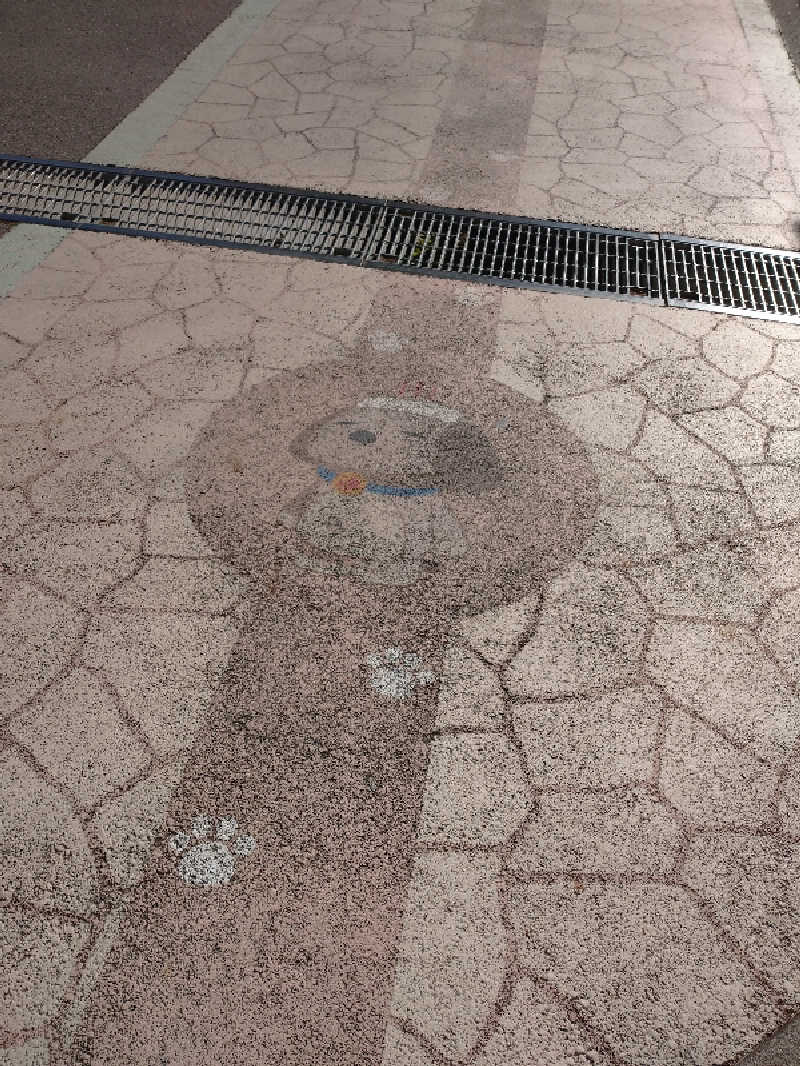 ヒロナオさんのスパ&ホテル 舞浜ユーラシアのサ活写真