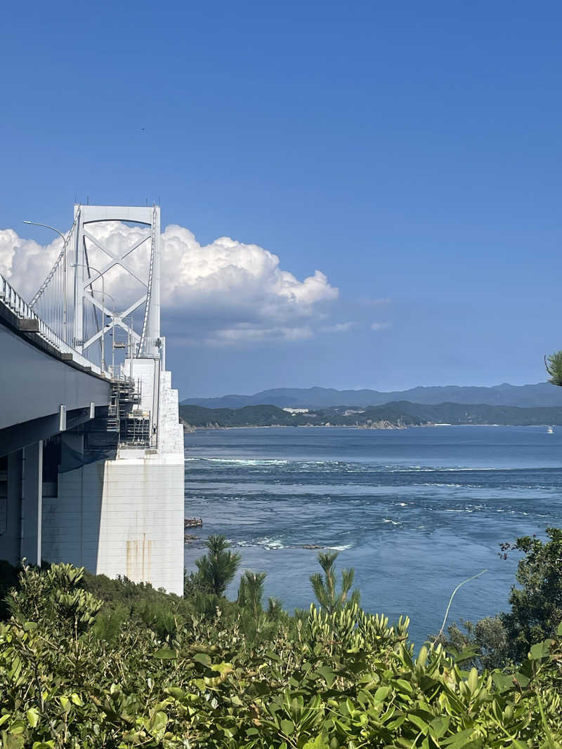 野村周平に似てる人さんの鳴門天然温泉 あらたえの湯のサ活写真