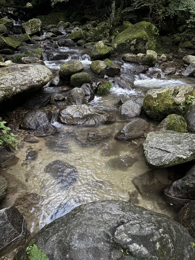 野村周平に似てる人さんのThe Riverside Saunaのサ活写真