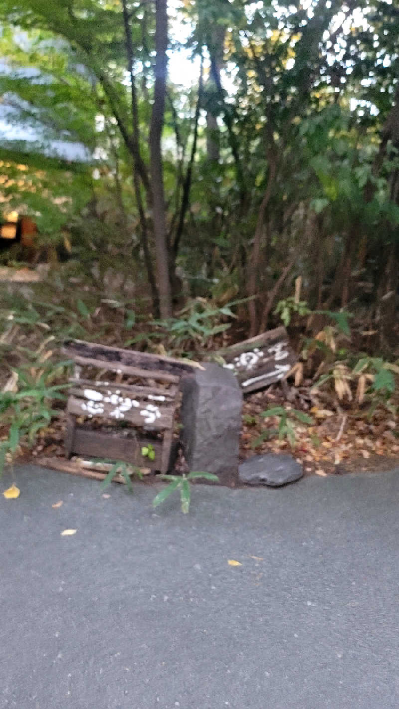 ユウキさんの縄文天然温泉 志楽の湯のサ活写真