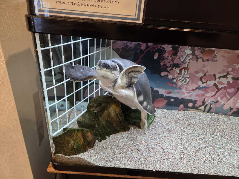 ユウキさんの松本湯のサ活写真