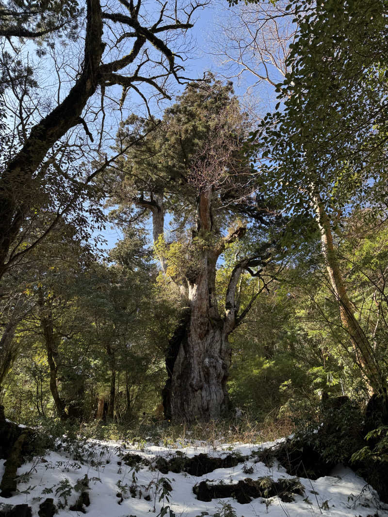 ゆめこさんのTHE HOTEL YAKUSHIMA OCEAN & FOREST(旧 シーサイドホテル屋久島)のサ活写真