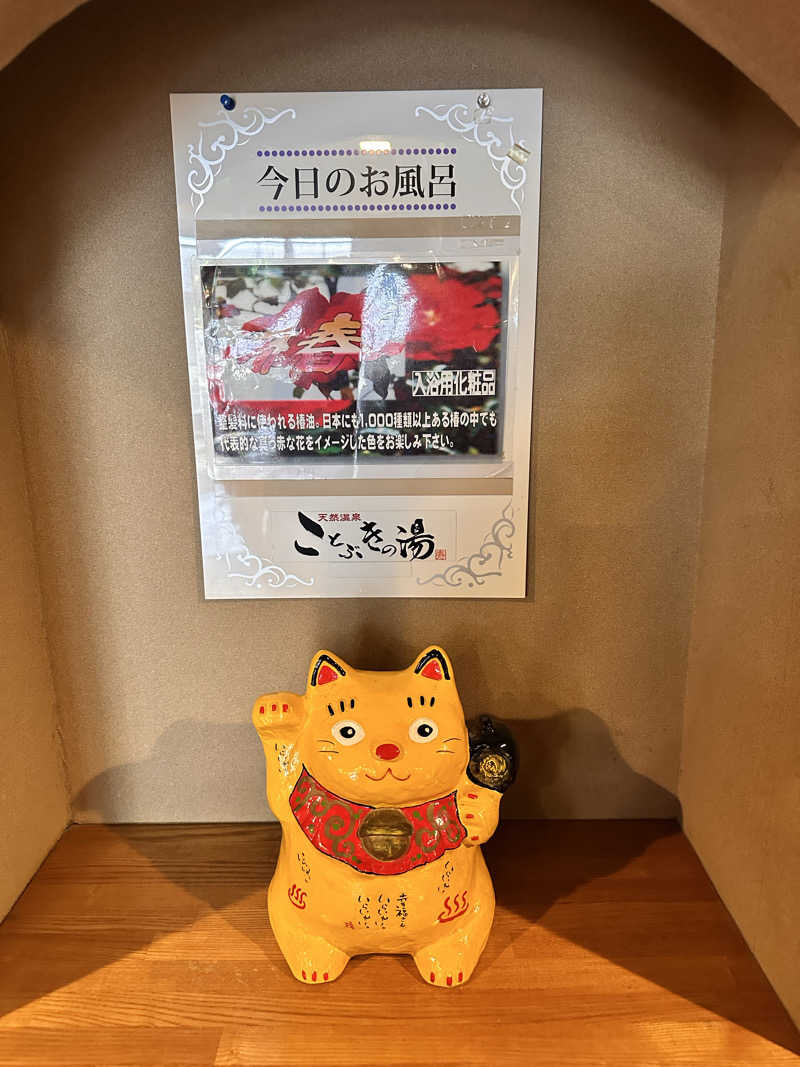 やすぽんさんの天然温泉 ことぶきの湯のサ活写真