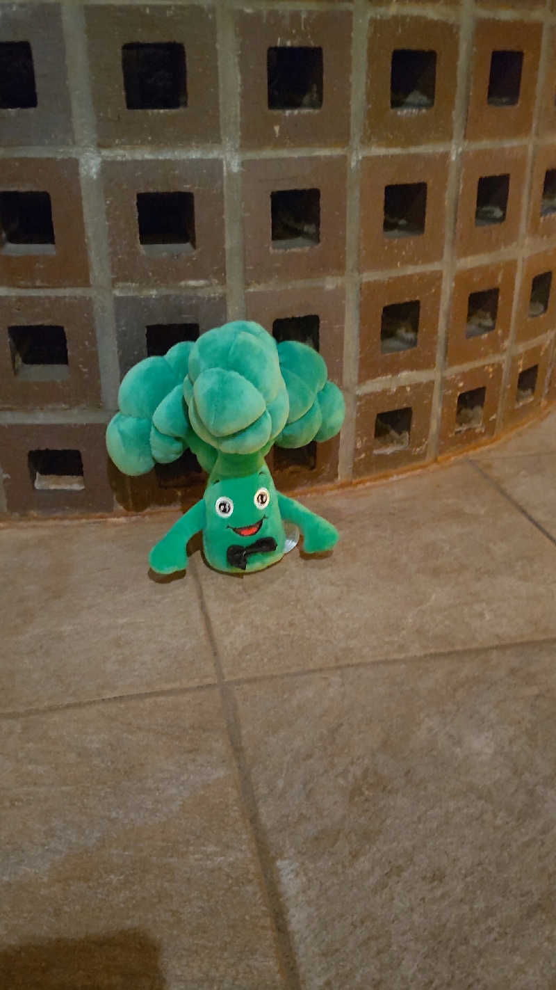 すーさんの天然温泉 平和島のサ活写真