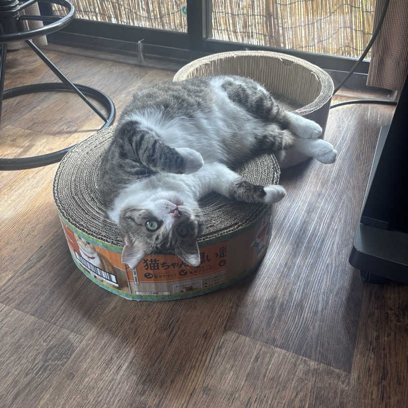 となりのトトノゥさんのヌルヌル有田温泉のサ活写真